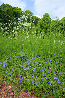 BUITEN BEELD Foto: 267142