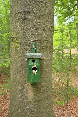 BUITEN BEELD Foto: 267147