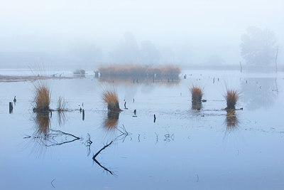 BUITEN BEELD Foto: 267242