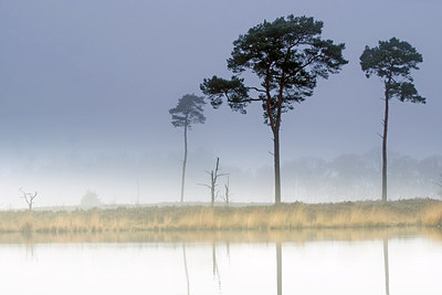 BUITEN BEELD Foto: 267243