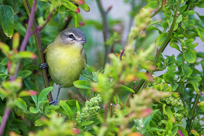 BUITEN BEELD Foto: 267454