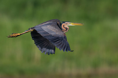 BUITEN BEELD Foto: 267461