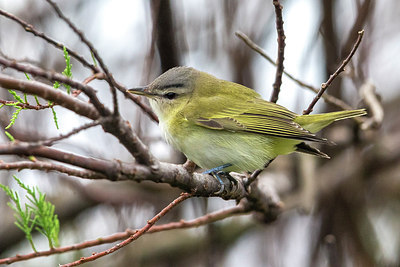 BUITEN BEELD Foto: 267500