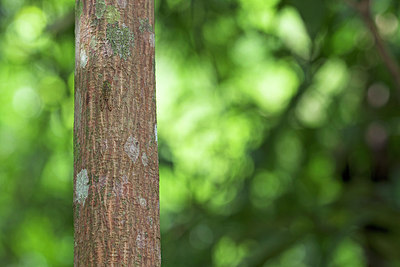 BUITEN BEELD Foto: 267656