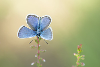 BUITEN BEELD Foto: 267669