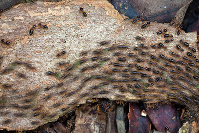 BUITEN BEELD Foto: 267682