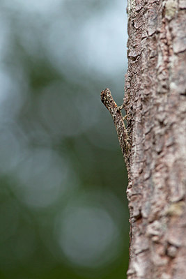 BUITEN BEELD Foto: 267755