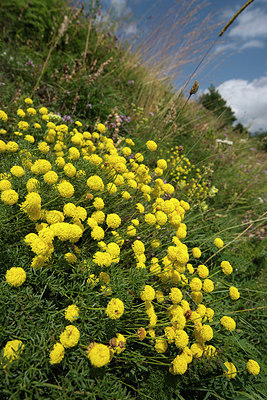 BUITEN BEELD Foto: 267871
