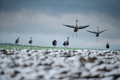 BUITEN BEELD Foto: 267879