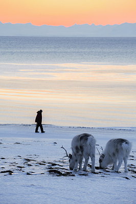 BUITEN BEELD Foto: 267884