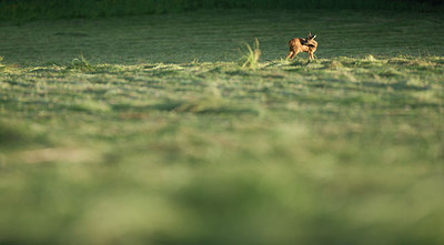 BUITEN BEELD Foto: 267931