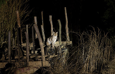 BUITEN BEELD Foto: 267958