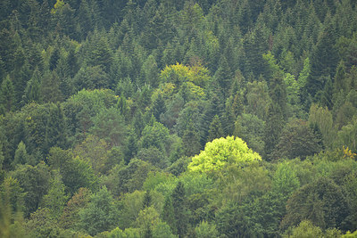 BUITEN BEELD Foto: 267998
