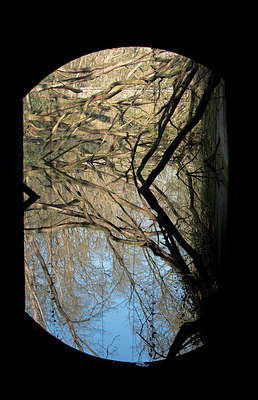 BUITEN BEELD Foto: 268034
