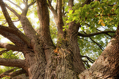 BUITEN BEELD Foto: 268036