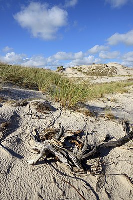 BUITEN BEELD Foto: 268050