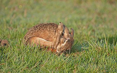 BUITEN BEELD Foto: 268062