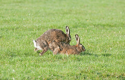 BUITEN BEELD Foto: 268064