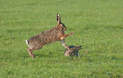 BUITEN BEELD Foto: 268065