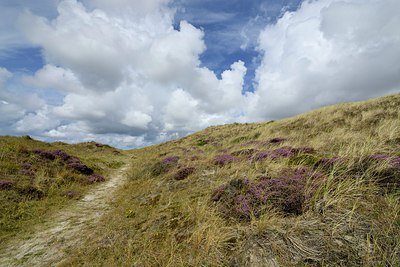 BUITEN BEELD Foto: 268192
