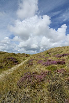 BUITEN BEELD Foto: 268193