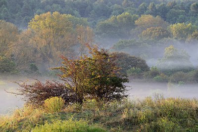 BUITEN BEELD Foto: 268226