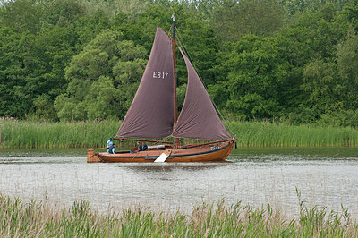 BUITEN BEELD Foto: 268227