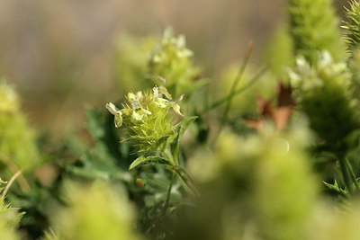BUITEN BEELD Foto: 268234