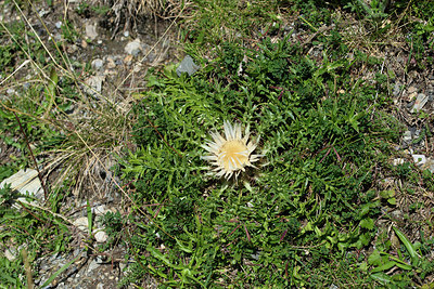 BUITEN BEELD Foto: 268261