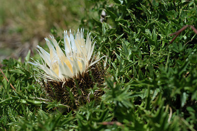 BUITEN BEELD Foto: 268262