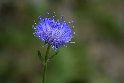 BUITEN BEELD Foto: 268263