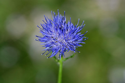 BUITEN BEELD Foto: 268264
