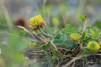 BUITEN BEELD Foto: 268271