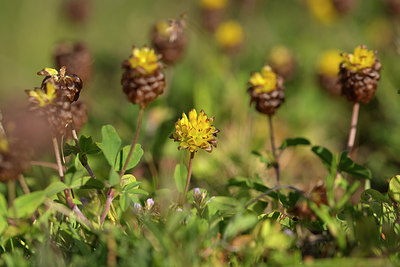 BUITEN BEELD Foto: 268272