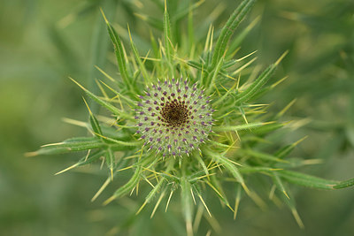 BUITEN BEELD Foto: 268292