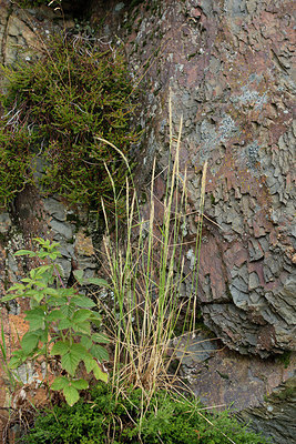 BUITEN BEELD Foto: 268311
