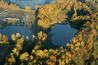 BUITEN BEELD Foto: 268374