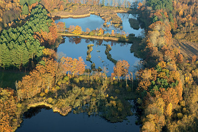 BUITEN BEELD Foto: 268391