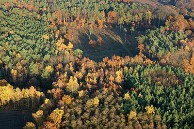 BUITEN BEELD Foto: 268400