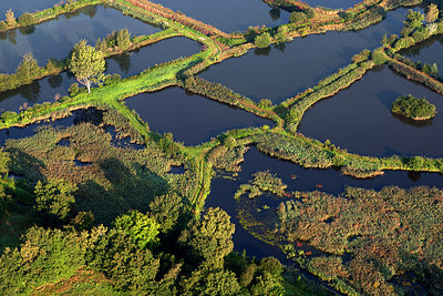 BUITEN BEELD Foto: 268465