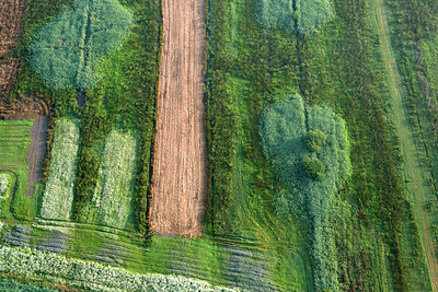 BUITEN BEELD Foto: 268614