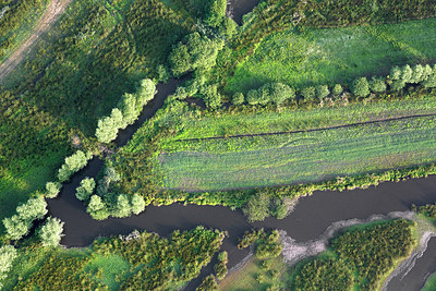BUITEN BEELD Foto: 268621