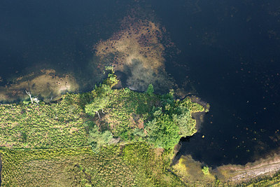 BUITEN BEELD Foto: 268625