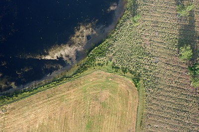 BUITEN BEELD Foto: 268627