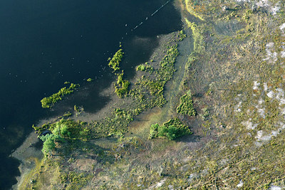 BUITEN BEELD Foto: 268629