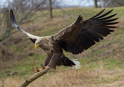 BUITEN BEELD Foto: 268790