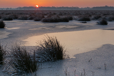 BUITEN BEELD Foto: 268936