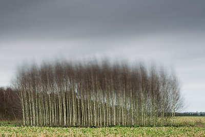 BUITEN BEELD Foto: 268959