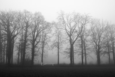 BUITEN BEELD Foto: 26046