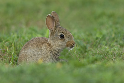BUITEN BEELD Foto: 26048